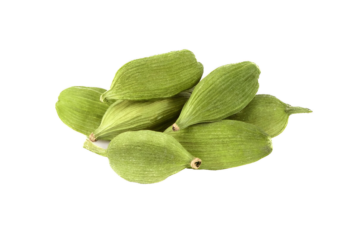 Large Green Cardamom